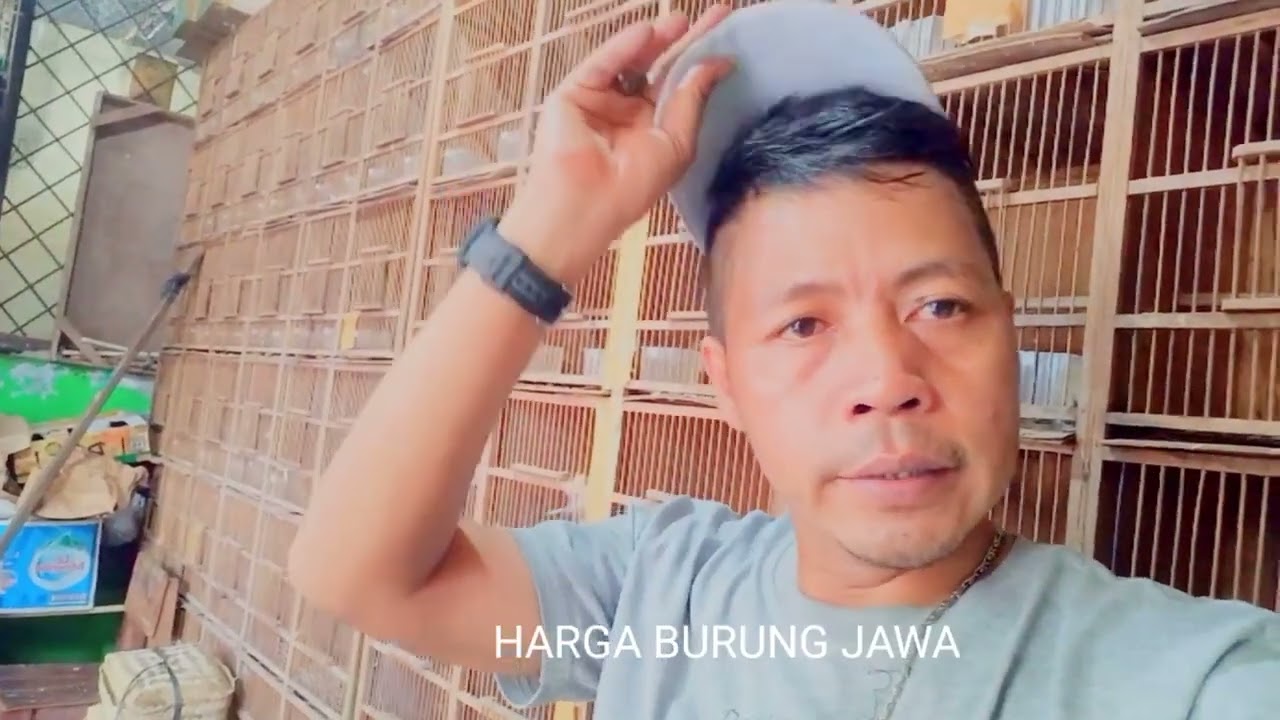 Daftar harga burung di jawa tengah 