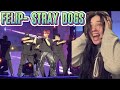 (SCREAMING!!)FELIP\KEN - Stray Dogs at Popstival 2022|REACTION