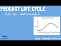 Understanding the Product Life Cycle