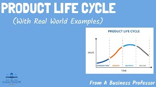 Product Life Cycle (With Real World Examples) | Strategic Management | From A Business Professor