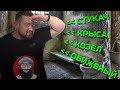 СТУКАЧ ЭРИК ДАВИДЫЧ | НОВЫЕ ПОДРОБНОСТИ, ДАВИДЫЧ ПРИЗНАЛСЯ! |  | SMOTRA TV