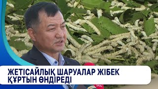картинка: Жетісайлық шаруалар жібек құртын өндіреді