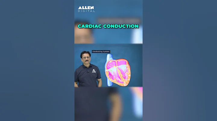 What is Conduction System of the Heart? | Learn with Animations | @ALLENNEET #shorts