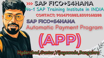 (APP)Automatic Payment Program in SAP FICO Interview Scenario,APP Real Time Ticket Error explanation