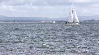 Sailing Boat Sailing Ocean Sea Wind Sports Boat No Copyright Video screenshot 4