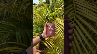 Caption From Morning Hustle To Midnight Vibesshop Your Signature Fragrance At Zstore.in