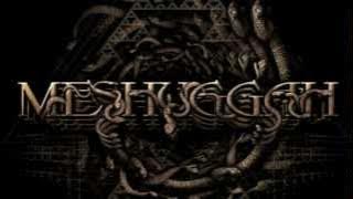 MESHUGGAH - Do Not Look Down