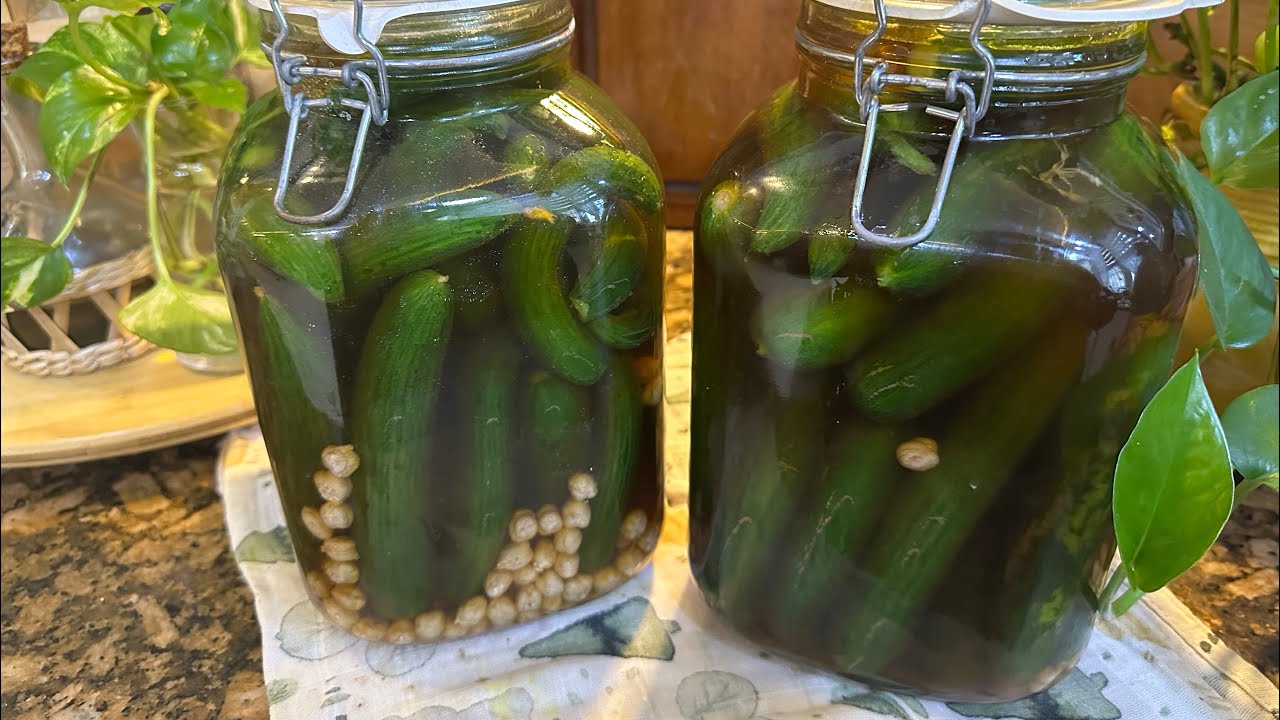 #روتين تنظيف الغرفة الثانية نزلت البردات اكيد☺️سويت اطيب طرشي بلحمص العناية بالنباتات سماد طبيعي