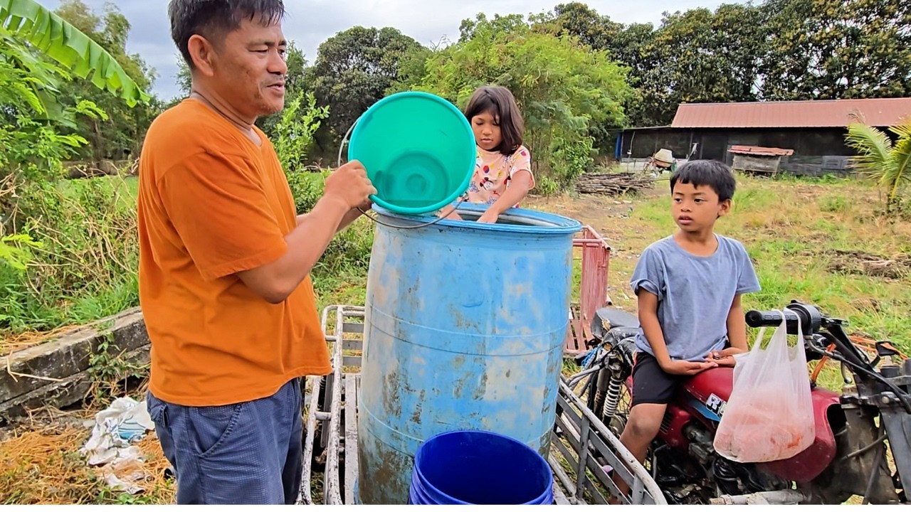 Kaya Pala Mabilis Lumago Ang Mga Papaya Sa Promised Land