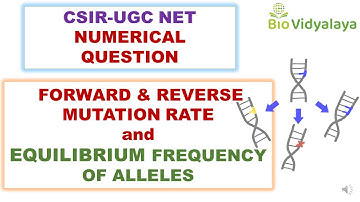 EQUILIBRIUM FREQUENCY OF ALLELE | FORWARD & REVERSE MUTATION RATE | Evolution | CSIR NET Lifescience
