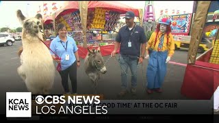 OC Fair Kickoff | SoCal Spotlight