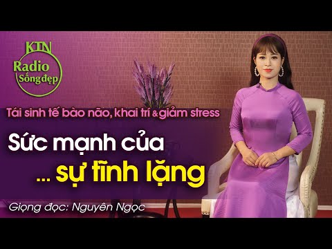 Video SỨC MẠNH CỦA SỰ TĨNH LẶNG:TÁI SINH TẾ BÀO NÃO, KHAI... - youtube