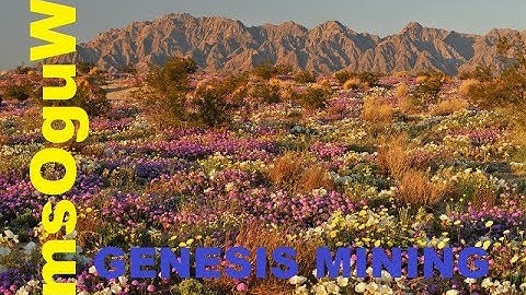 Genesis Mining Morning Hashpower Upgrade