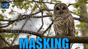 Lightroom Classic Masking Tools for Beginners | Targeted Edits Made Easy (Video 8)