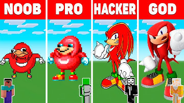MINECRAFT NOOB vs PRO vs HACKER vs GOD Minecraft Pixel art: Knuckles / Animation