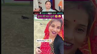 funny dog reaction 🤣😜😜 #funny #amazingmemes #cartoon #comedy #funnydogs #funnydogreaction #fun