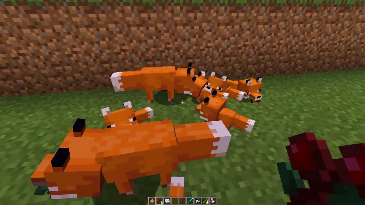 Como Capturar Un Delfin En Minecraft