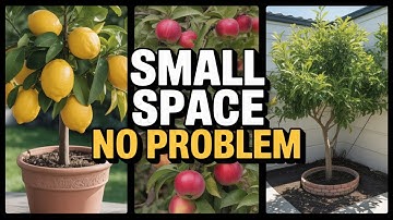 Top 10 Fruit Trees That Don