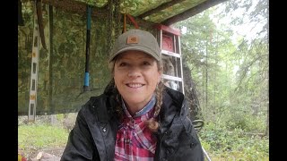 Cutting Firewood at our Off Grid Property