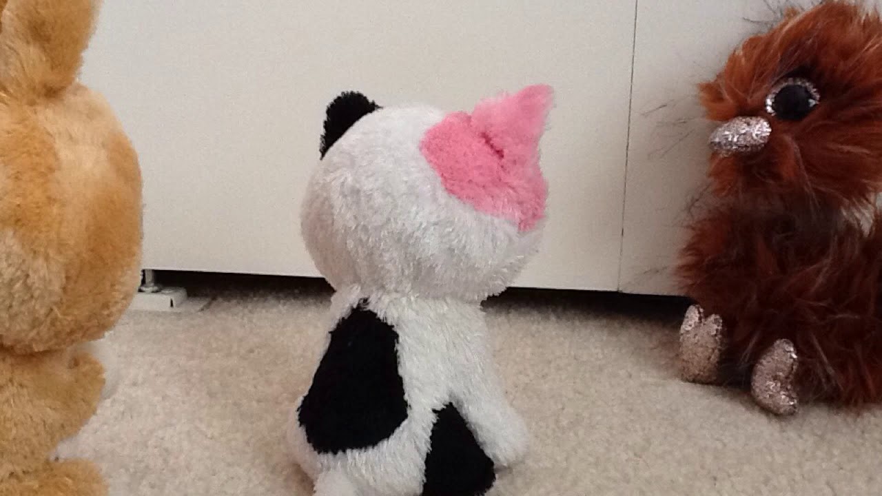 meet Asha Ostrich and Orson Ostrich