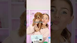 Revealing My Puppy’s NAME! 🐶