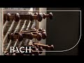 Bach - Prelude and fugue in G major BWV 541 - Winsemius | Netherlands Bach Society