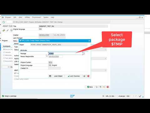 SAP AbapGit - ZABAPGIT_TEST_SSL