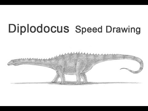 step by step tv show Diplodocus Time-lapse / Speed Drawing