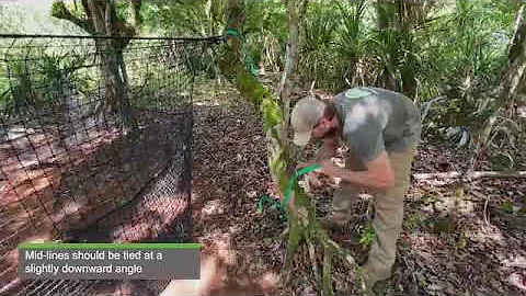 Pig Brig Trap System Forest Set Up without T-Posts | Pig Brig Trap System