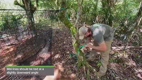 Pig Brig Trap System Forest Set Up without T-Posts | Pig Brig Trap System