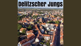 Delitzscher Jungs (Ballermann Mix)