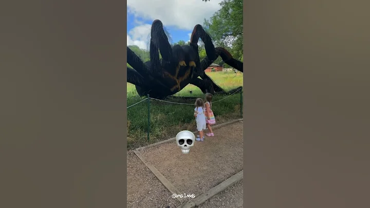 Power of Transformation Version 💀