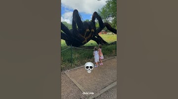 Power of Transformation Version 💀