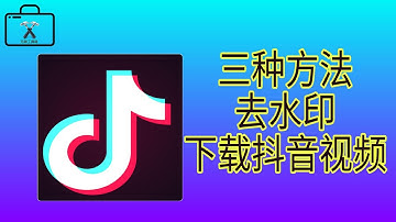 抖音去水印视频解析下载，三种方法免费解析抖音快手视频无水印下载到本地。
