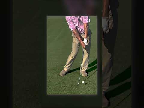 Compress The Golf