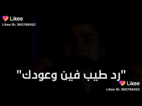 عمر كمال كل منسالك كلامك