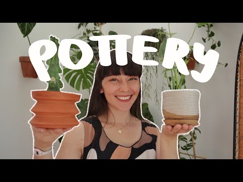 All About Houseplant