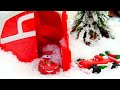 Видео про машинки - Франческо закапывает Маквина в снегу! Игрушки машинки Тачки для мальчиков