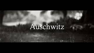 Auschwitz - A Musical Tribute to Resilience and Remembrance