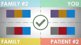 Kidney Transplant – A Better Option For Dialysis Patients | Miami Transplant Institute