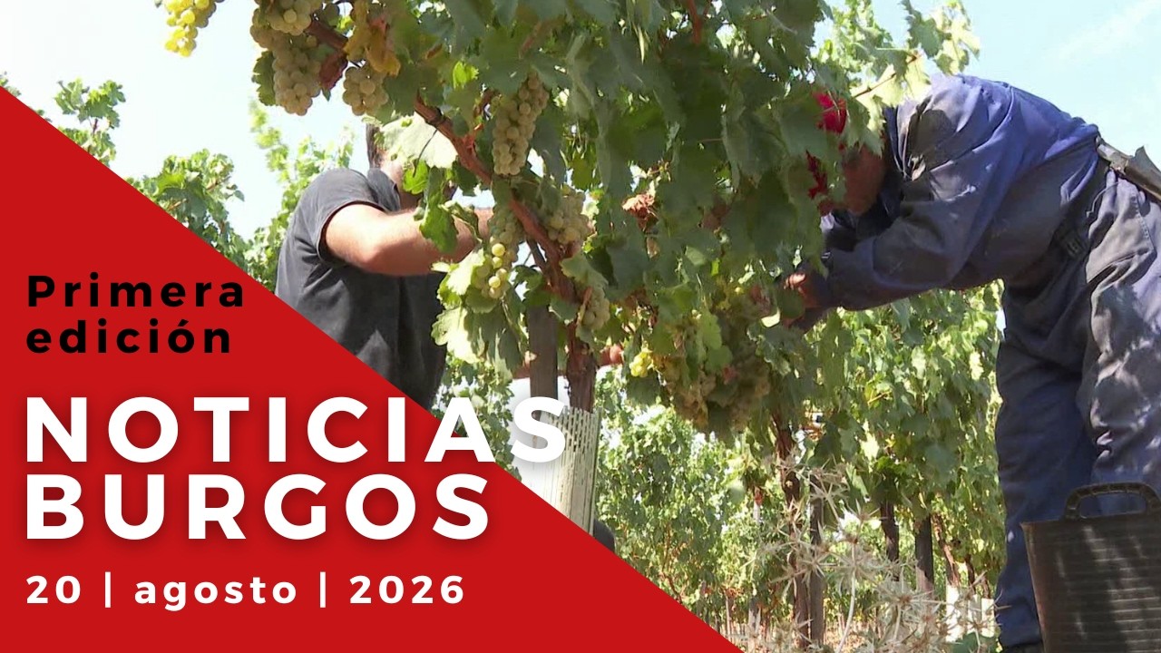 NOTICIAS 8 PRIMERA EDICIÓN | 20-08-2026