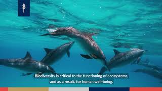 Planetary Wellbeing Free Online Studies At The Open University Of The University Of Jyväskylä