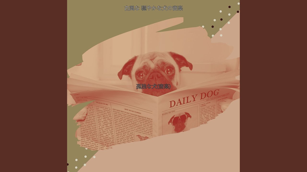 雰囲気 子犬 Youtube