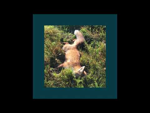 Robert Farrugia — robert farrugia "cicada"