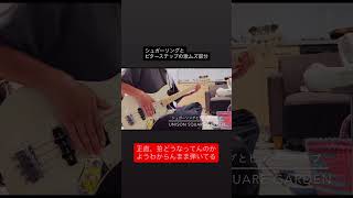 シュガーソングとビターステップ／UNISON SQUARE GARDEN #ベース #弾いてみた #unisonsquaregarden #血界戦線 ズンドコハム太郎