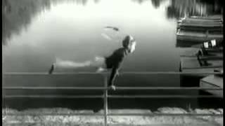 Swing Wing from Transogram