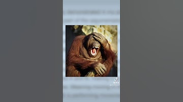 A VS Battle Wiki administrator ADMITS THEY IGNORE FEATS