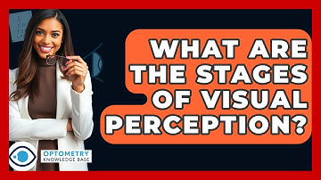 What Are The Stages Of Visual Perception? - Optometry Knowledge Base