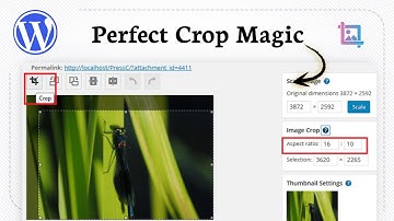 Een afbeelding bijsnijden in WordPress (Photo Edge)