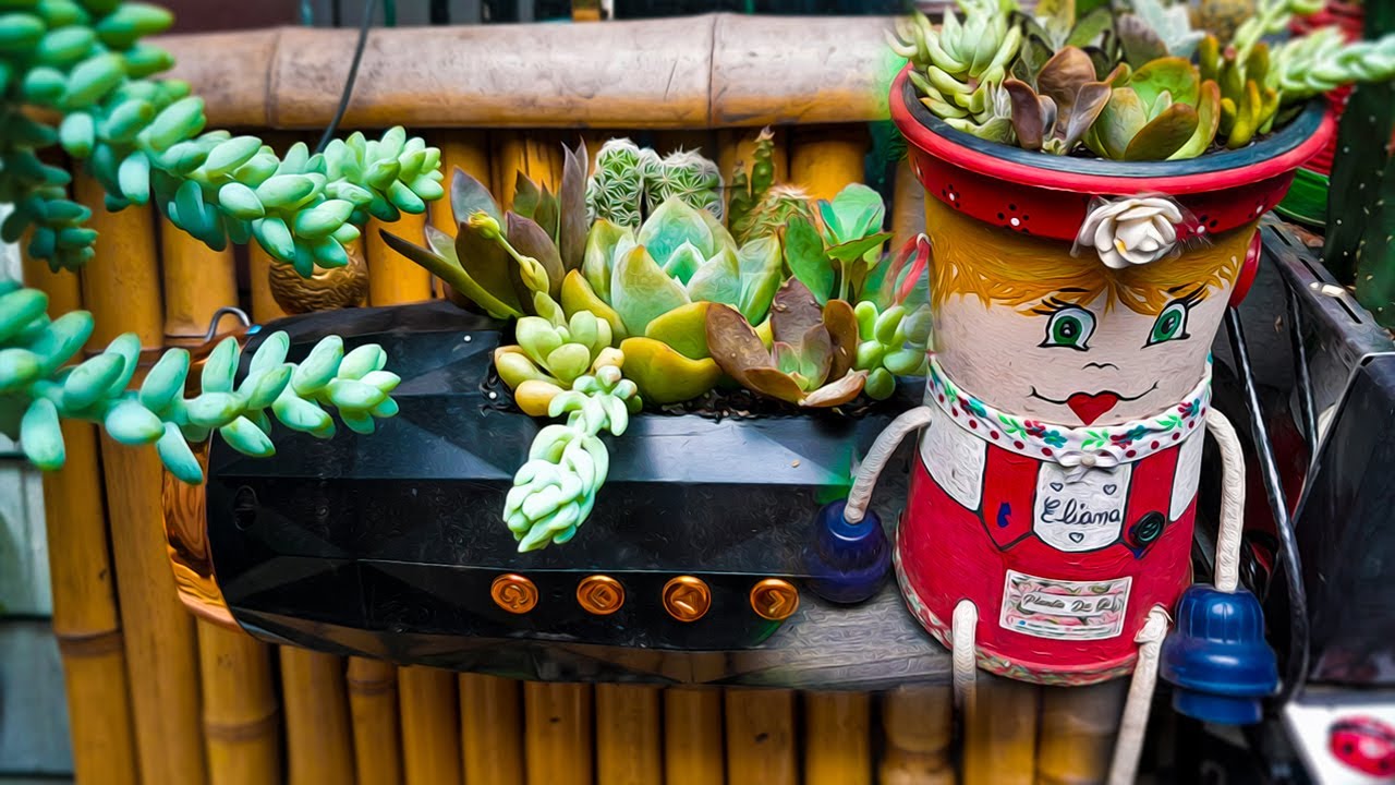 PLANTAS DA GI - Tudo Vira Vaso